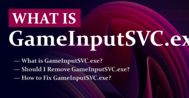 GameInputSVC.exe review